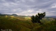IMG_1505_copia.jpg