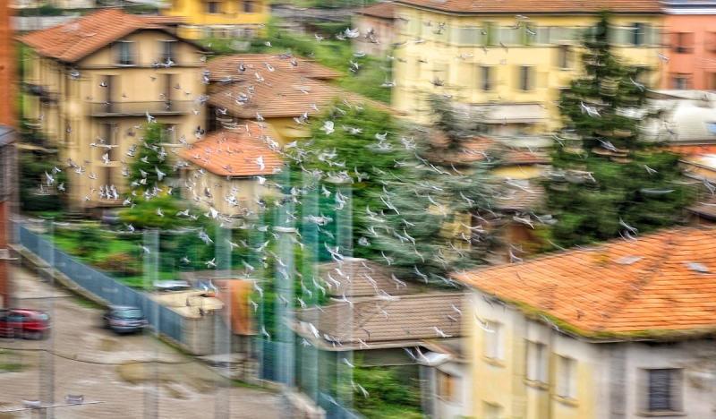 Clicca per l'immagine full size