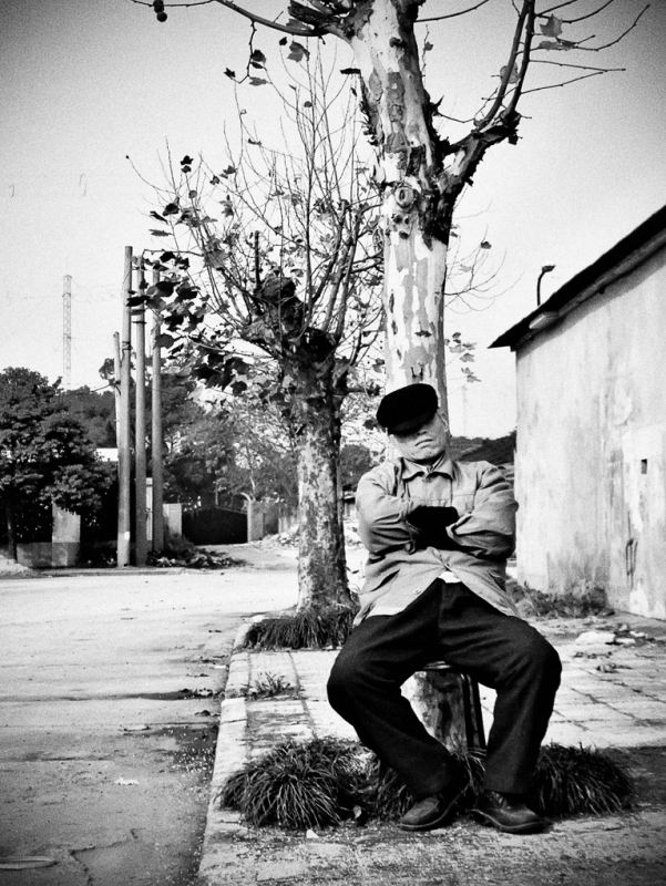 Clicca per l'immagine full size