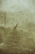 Nome File=1-28.JPG
Dimensione File=404KB
Dimensioni=799x1200
Data aggiunta=Ago 20, 2021 1-28.JPG