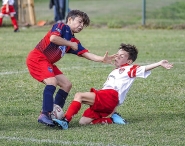 Nome File=20180928-_DSC6258-Edit.jpg
Dimensione File=471KB
Dimensioni=1200x950
Data aggiunta=Set 29, 2019 20180928-_DSC6258-Edit.jpg
