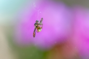 20230705-_DSC2366.jpg