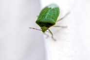 20240529-_DSC2127-Edit.jpg