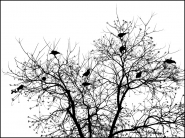 Nome File=L_albero_degli_uccelli.jpg
Dimensione File=358KB
Dimensioni=900x676
Data aggiunta=Feb 12, 2008 L_albero_degli_uccelli.jpg