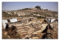 The_Village_6.jpg The_Village_6.jpg