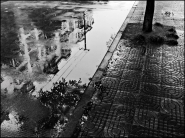 Nome File=Una_giornata_uggiosa.jpg
Dimensione File=286KB
Dimensioni=900x676
Data aggiunta=Mar 08, 2008 Una_giornata_uggiosa.jpg