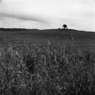 Nome File=ork-16.jpg
Dimensione File=396KB
Dimensioni=850x850
Data aggiunta=Mag 24, 2009 ork-16.jpg