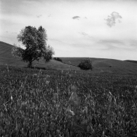 Nome File=ork-17.jpg
Dimensione File=399KB
Dimensioni=850x850
Data aggiunta=Mag 22, 2009 ork-17.jpg