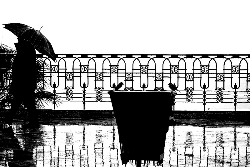 Clicca per l'immagine full size