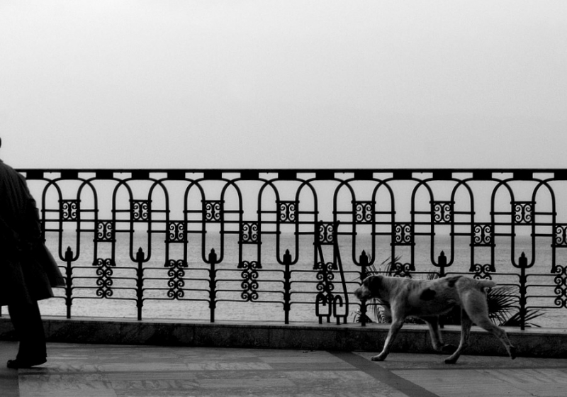 Clicca per l'immagine full size
