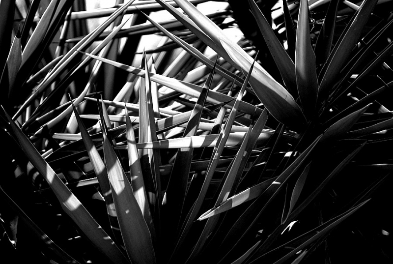 Clicca per l'immagine full size