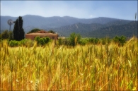 DSC_5564_01_copia_2.jpg DSC_5564_01_copia_2.jpg