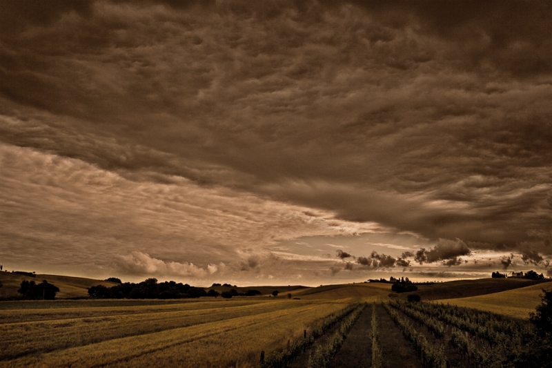Clicca per l'immagine full size