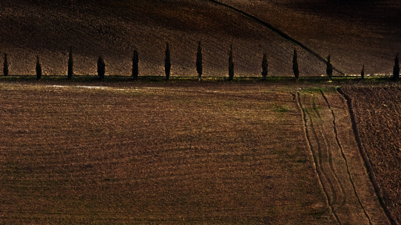 Clicca per l'immagine full size