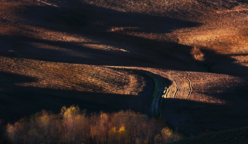 Clicca per l'immagine full size