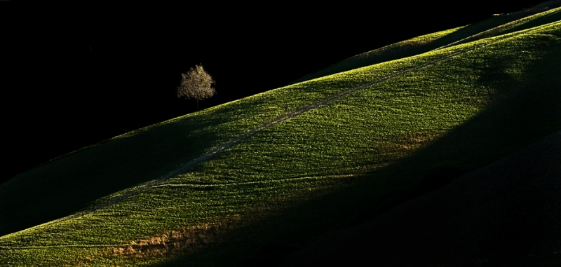 Clicca per l'immagine full size