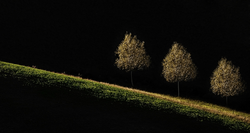 Clicca per l'immagine full size