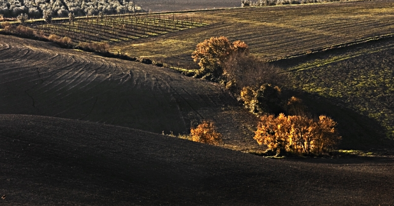 Clicca per l'immagine full size