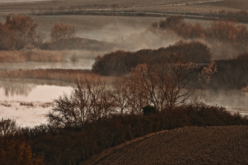 Clicca per l'immagine full size