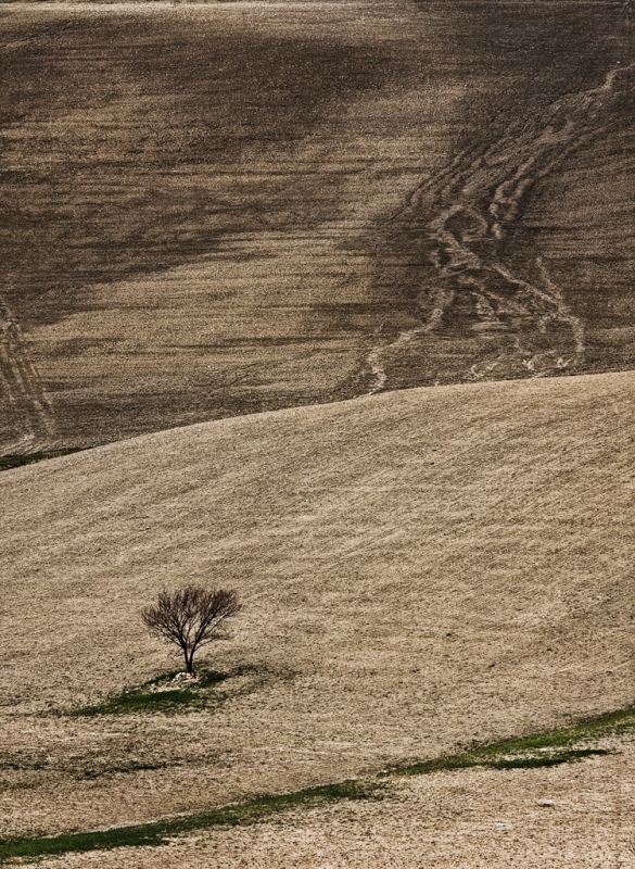 Clicca per l'immagine full size
