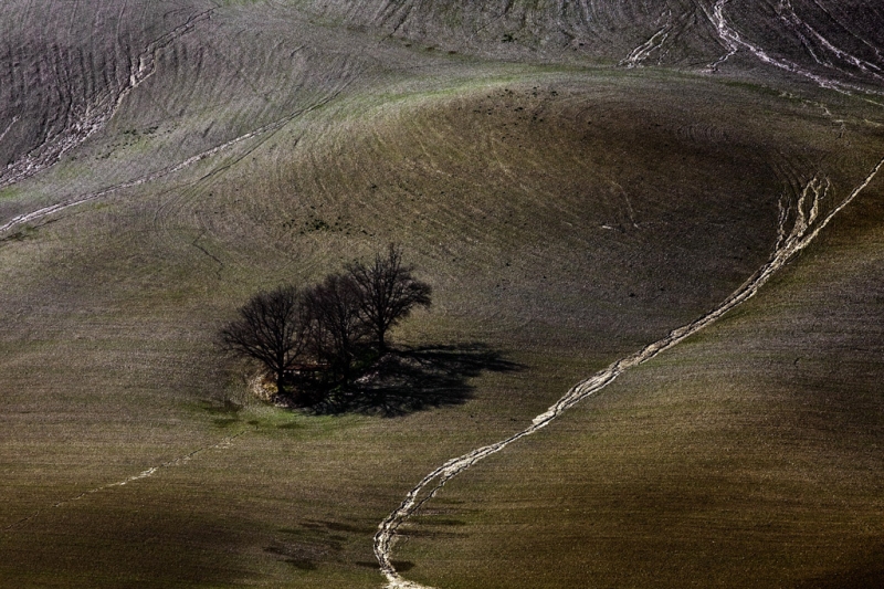 Clicca per l'immagine full size