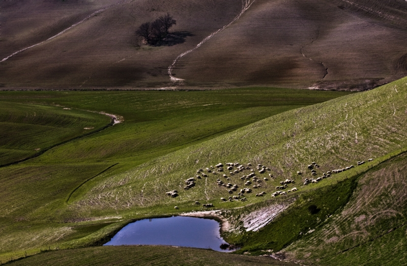 Clicca per l'immagine full size