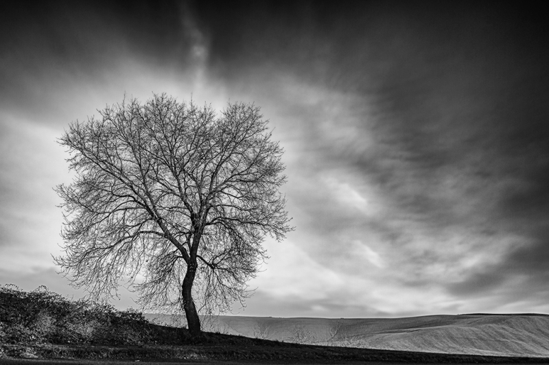 Clicca per l'immagine full size
