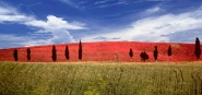 Nome File=collina-rossa.jpg
Dimensione File=349KB
Dimensioni=800x377
Data aggiunta=Gen 23, 2008 collina-rossa.jpg
