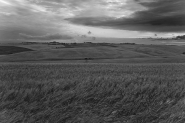 Nome File=grain.jpg
Dimensione File=255KB
Dimensioni=800x533
Data aggiunta=Feb 01, 2008 grain.jpg