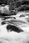 Nome File=torrente.jpg
Dimensione File=261KB
Dimensioni=533x800
Data aggiunta=Feb 07, 2008 torrente.jpg