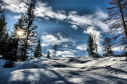 DSC_4235mod2r.jpg
