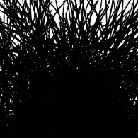 Nome File=DSC_0677.jpg
Dimensione File=187KB
Dimensioni=750x750
Data aggiunta=Ott 22, 2008 DSC_0677.jpg