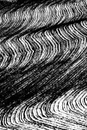 Nome File=effimero_0115.jpg
Dimensione File=249KB
Dimensioni=500x750
Data aggiunta=Mar 05, 2008 effimero_0115.jpg