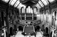 1517525-large.jpg 1517525-large.jpg