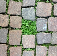 GiardinoProibitoModenaNov2012.jpg