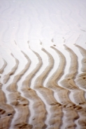 curve.jpg