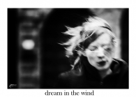 Nome File=dream-in-the-wind.jpg
Dimensione File=125KB
Dimensioni=800x571
Data aggiunta=Gen 21, 2010 dream-in-the-wind.jpg