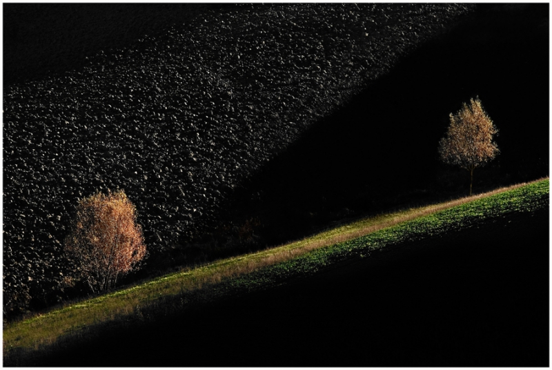 Clicca per l'immagine full size