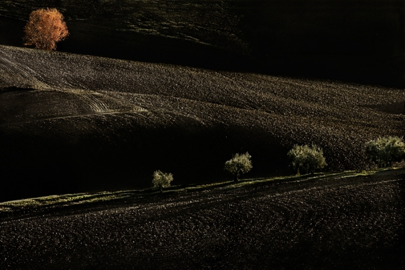 Clicca per l'immagine full size