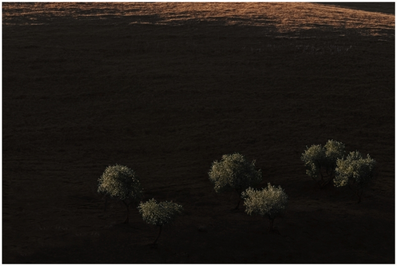 Clicca per l'immagine full size