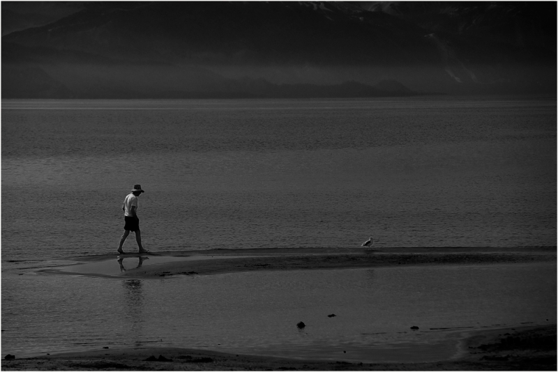 Clicca per l'immagine full size