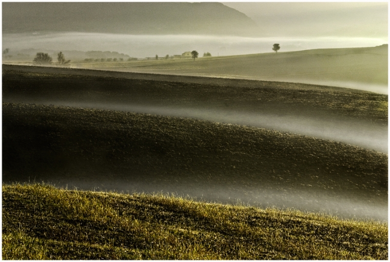 Clicca per l'immagine full size