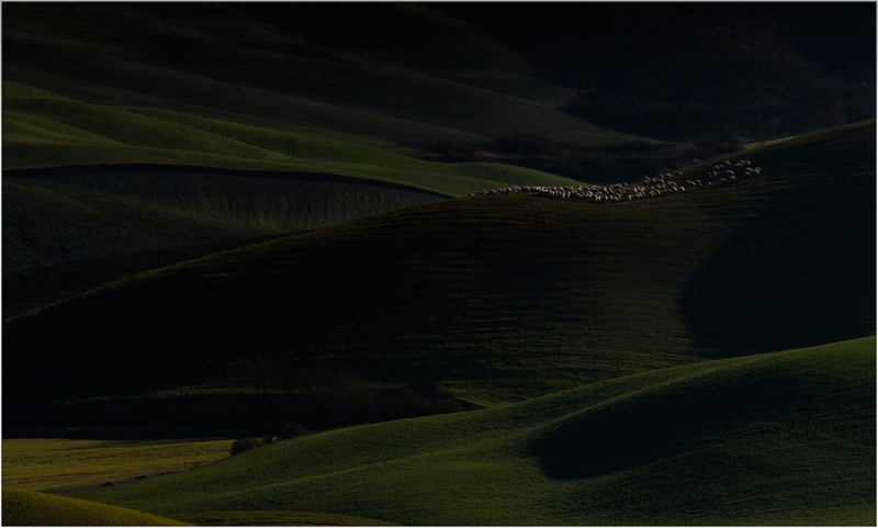 Clicca per l'immagine full size