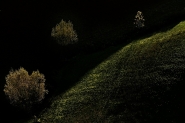 Nome File=Alberi-e-luce.jpg
Dimensione File=397KB
Dimensioni=900x600
Data aggiunta=Dic 11, 2008 Alberi-e-luce.jpg