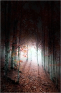 Nome File=Bosco.jpg
Dimensione File=576KB
Dimensioni=754x1134
Data aggiunta=Ott 21, 2012 Bosco.jpg