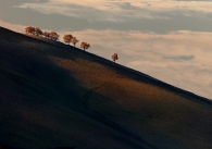 Collina.jpg