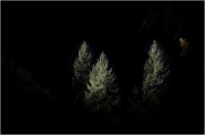 Nome File=Evergreen.jpg
Dimensione File=124KB
Dimensioni=1024x680
Data aggiunta=Gen 05, 2012 Evergreen.jpg