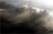 Nome File=Nebbia_al_mattino.jpg
Dimensione File=300KB
Dimensioni=800x527
Data aggiunta=Dic 09, 2012 Nebbia_al_mattino.jpg