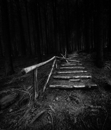 Nome File=Staircase_in_the_woods.jpg
Dimensione File=524KB
Dimensioni=800x932
Data aggiunta=Gen 30, 2014 Staircase_in_the_woods.jpg
