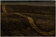 Strada-nel-campo_2.jpg
